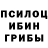 Галлюциногенные грибы GOLDEN TEACHER PTAXACSS