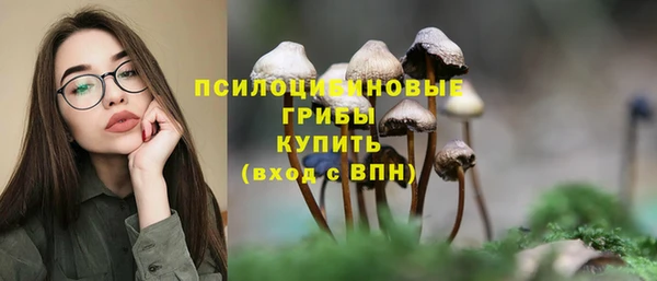 прущие крисы Вуктыл