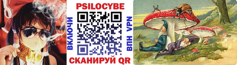 hydra tor  Каменск-Шахтинский  Псилоцибиновые грибы прущие грибы 